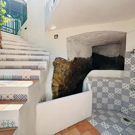 Dafne - Immobilevante Apartamento *