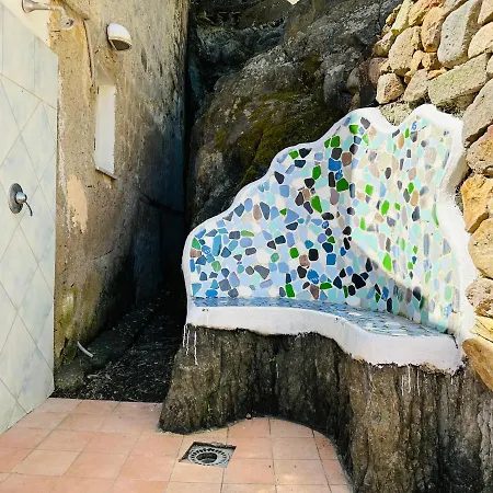 Apartamento Dafne - Immobilevante